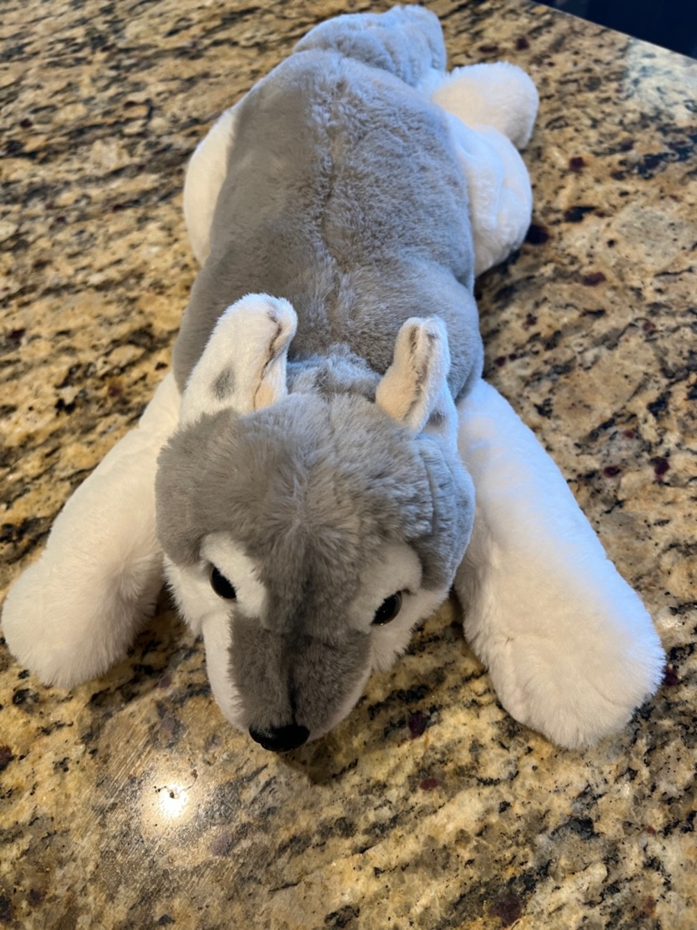 FAO Schwartz - Plush Husky Dog - Stuffed Animal  - Gray &White